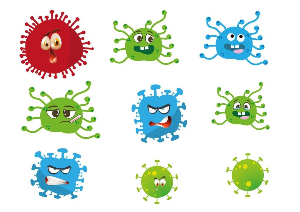 Immune System