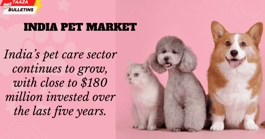 India Pet Market
