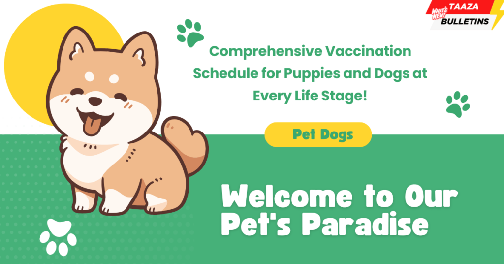 Pet Dogs