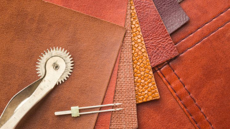 Vegan Leather innovation excites